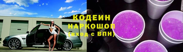 ГАЛЛЮЦИНОГЕННЫЕ ГРИБЫ Вяземский