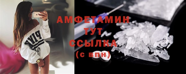 ГАЛЛЮЦИНОГЕННЫЕ ГРИБЫ Вяземский