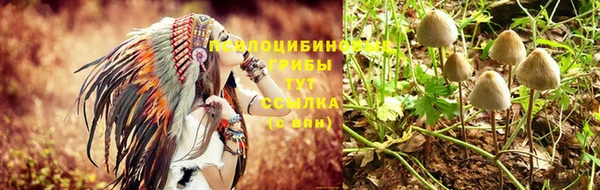 ГАЛЛЮЦИНОГЕННЫЕ ГРИБЫ Вяземский
