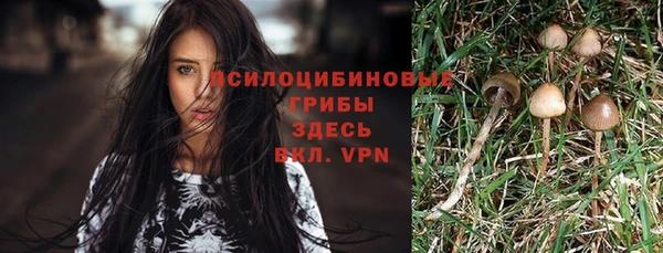 ГАЛЛЮЦИНОГЕННЫЕ ГРИБЫ Вяземский