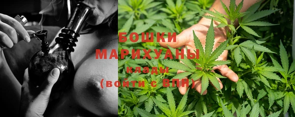 прущие крисы Вязьма