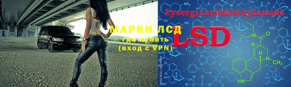 ГАЛЛЮЦИНОГЕННЫЕ ГРИБЫ Вяземский